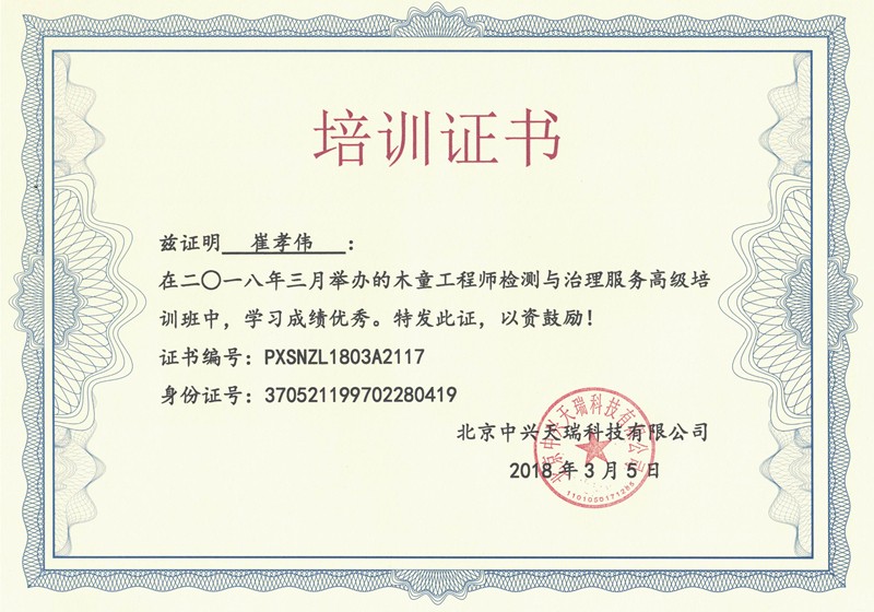 崔晓伟-木童工程师检测与治理服务高级培训证书.jpg